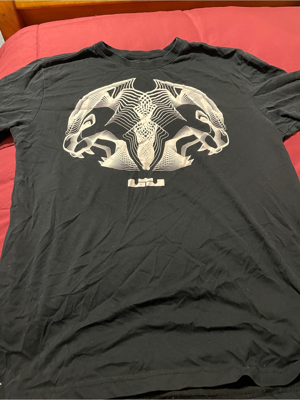 Nike LeBron James Shirt